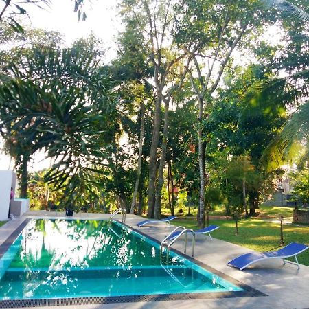 Temple Pond Villa Colombo Piliyandala Exteriör bild