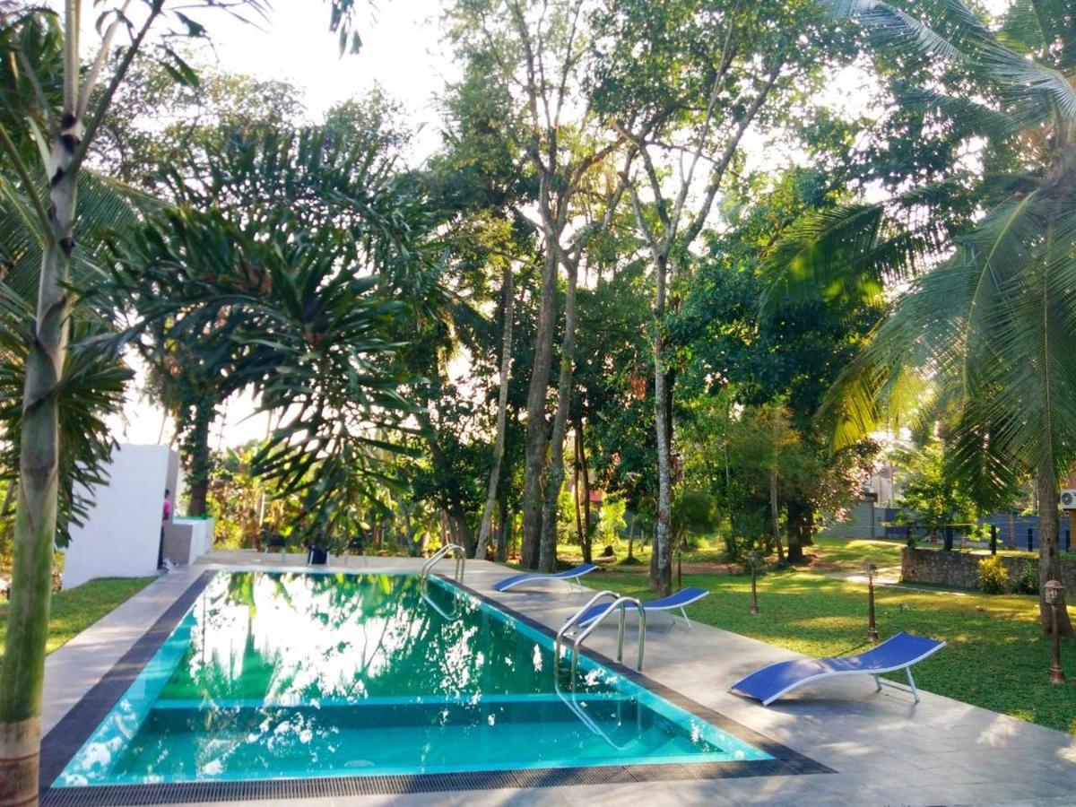 Temple Pond Villa Colombo Piliyandala Exteriör bild
